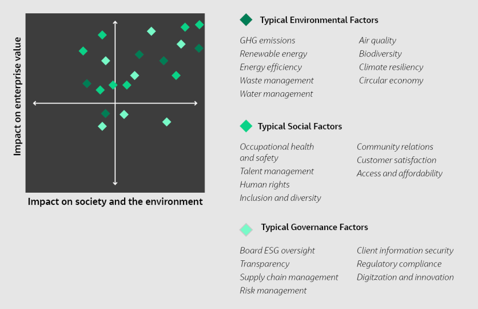 example matrix of organizatonal ESG factors