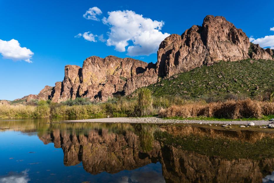 The Salt River near Mesa, Arizona