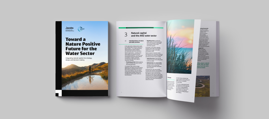 Natural capital