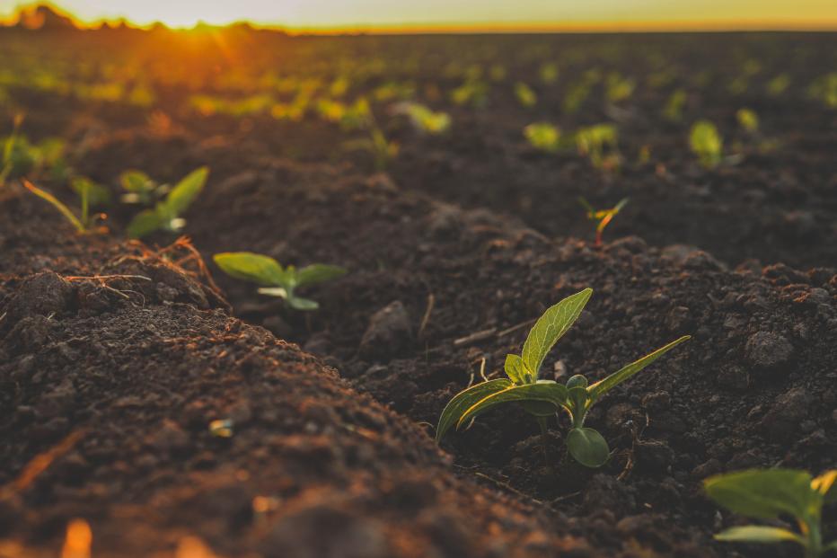 PFAS in Biosolids