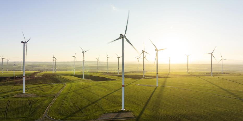 A wide green landscape featuring several tall white wind turbines with three blades each, set against a clear sky at sunrise