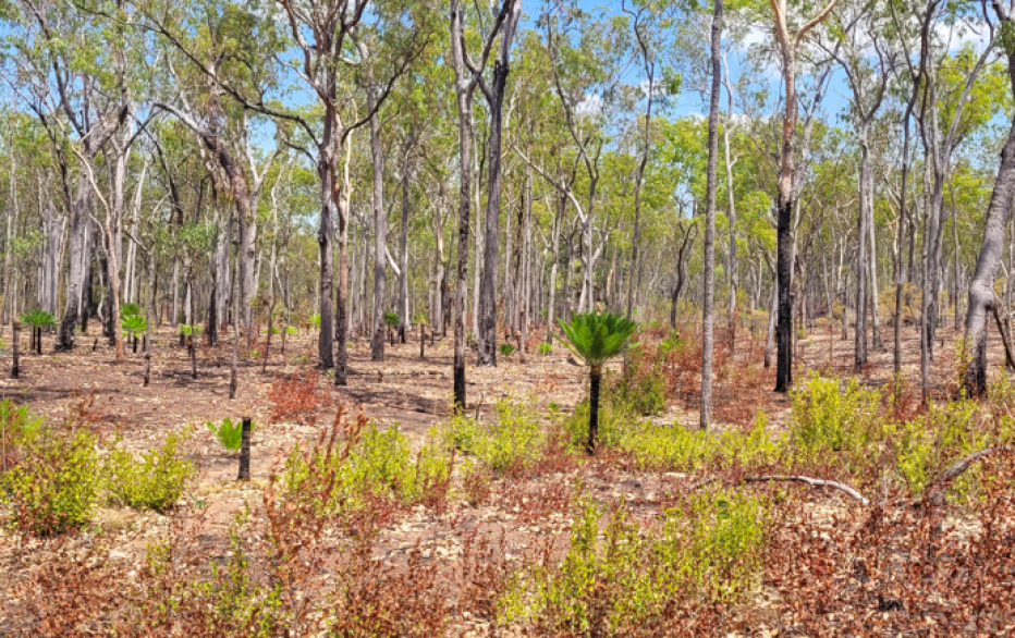 Melville Island site