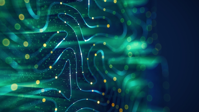 Digital & AI