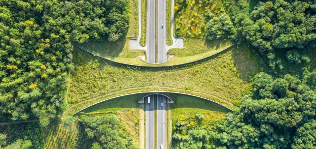 NaturePositiveSolutions