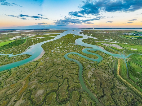 system of rivers through a wide green landscape