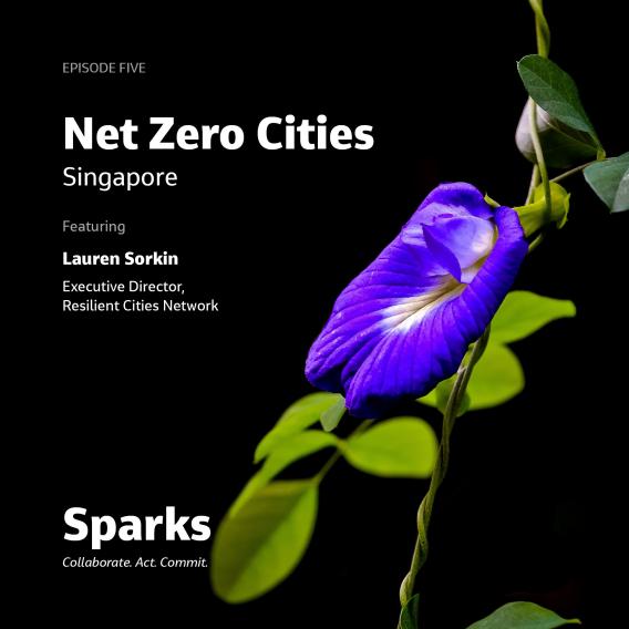 Net Zero Cities - Singapore