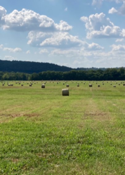 Green field with hay bales and blue cloudy skies