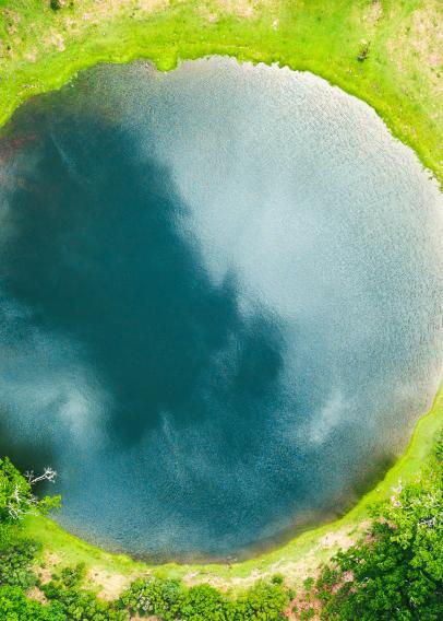 Circular pool of water surrounded by trees