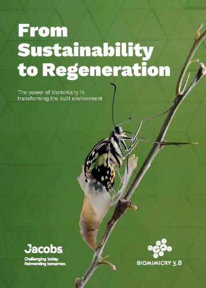 Biomimicry paper_front cover