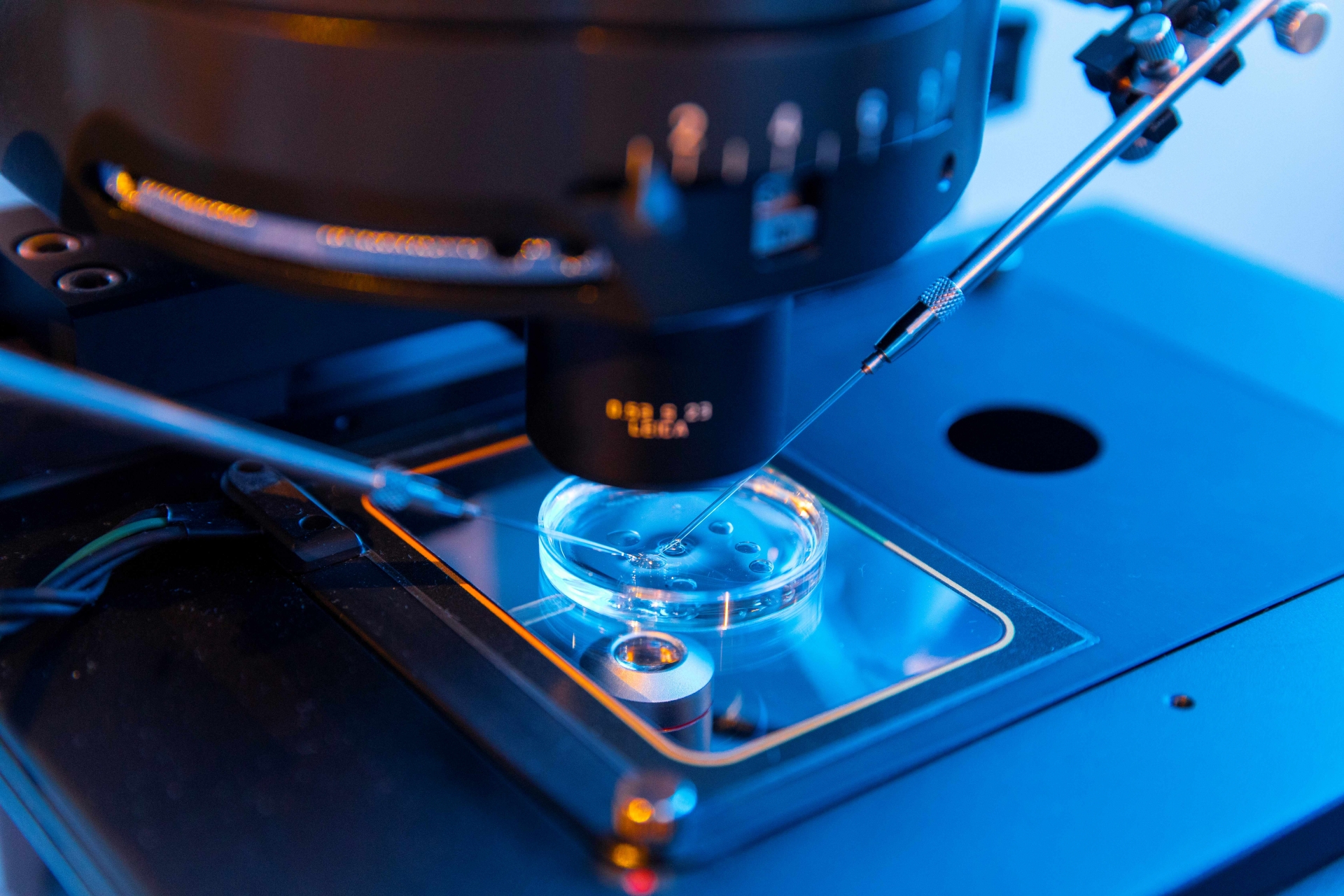 Science Test Technology Laboratory Design and Construction │ Jacobs