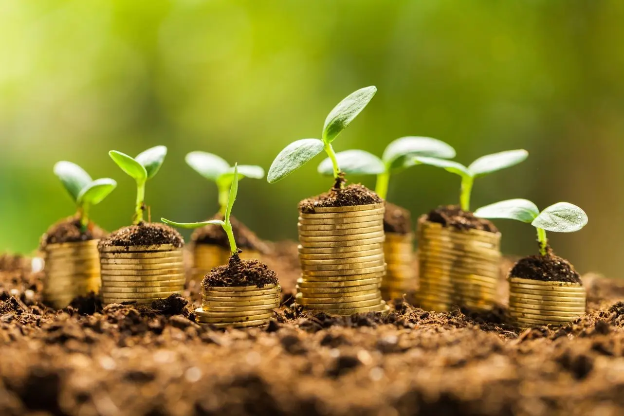 coins on earth with shoots growing out the top