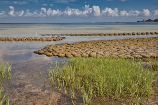 Designing Resilient Coastlines Through the Power of Nature