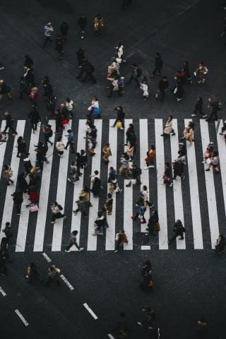 people walking on crosswalk