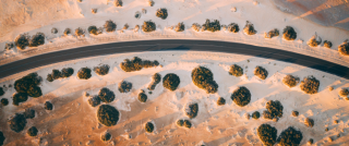 Aerial view of a gently curving paved road cutting through pale sand dunes, with scattered green shrubs casting long shadows across the arid landscape.