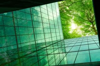 Eco-friendly building in the modern city