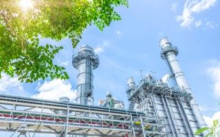Power plant with tree