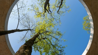 Why sustainability isn't unlocking capital