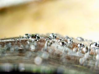 Raindrops sticking like bubbles