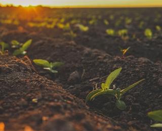 PFAS in Biosolids